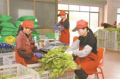 <strong>建立启用“厦门市生鲜食物平安监管消息</strong> 